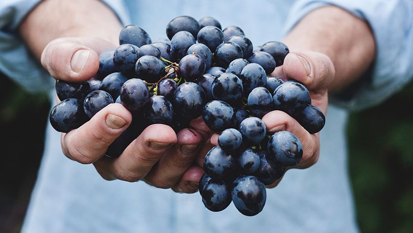 Come dovremmo considerare e comportarci in relazione al denaro e alla ricchezza?